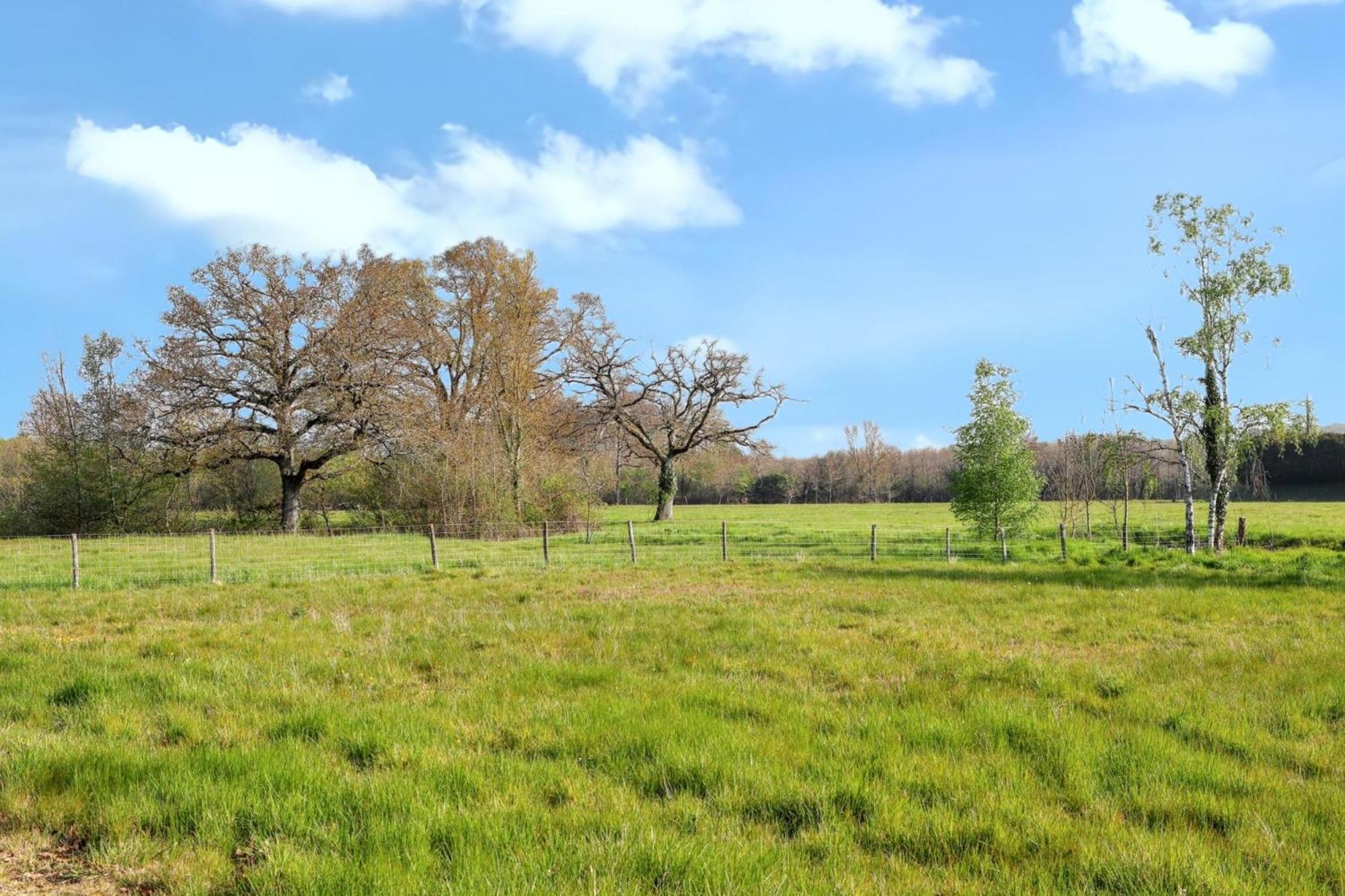 Appartement Cosy A Mont Pres Chambord 100 M² Terrasse Bagian luar foto